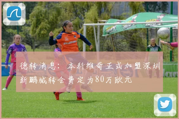 德转消息：本科维奇正式加盟深圳新鹏城转会费定为80万欧元